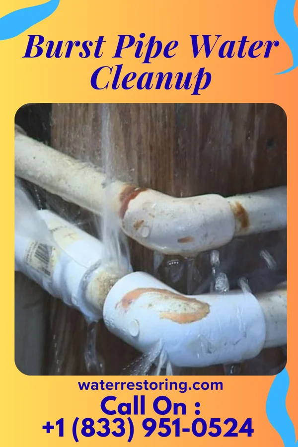 Burst Pipe Water Cleanup in Chesapeake, VA