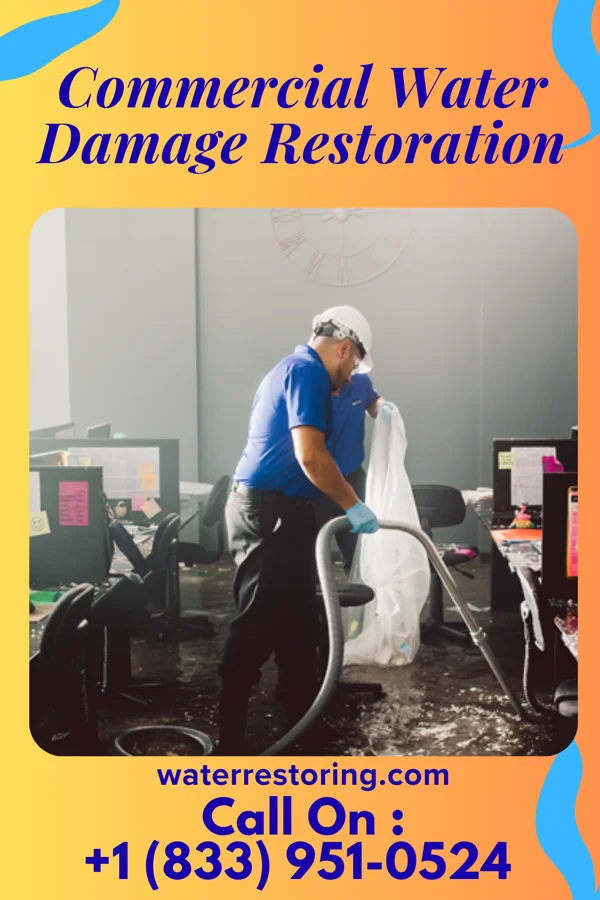 Commercial Water Damage Restoration in Chesapeake, VA