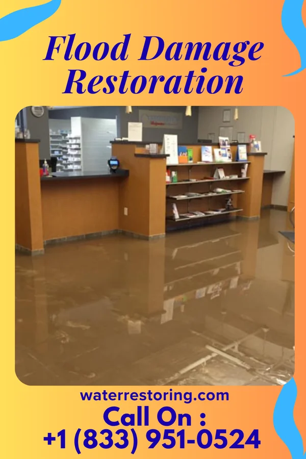Flood Damage Restoration in Chesapeake, VA