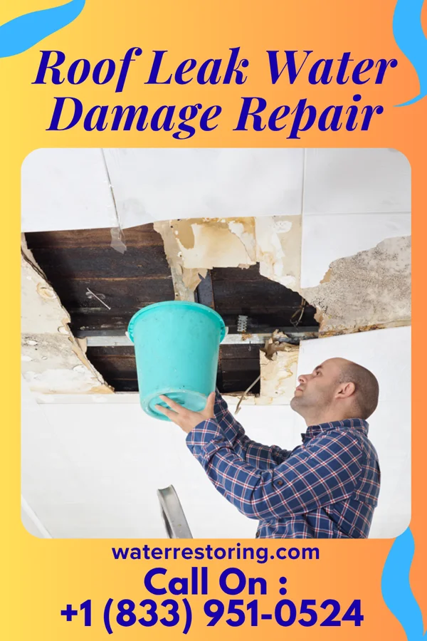 Roof Leak Water Damage Repair in Chesapeake, VA