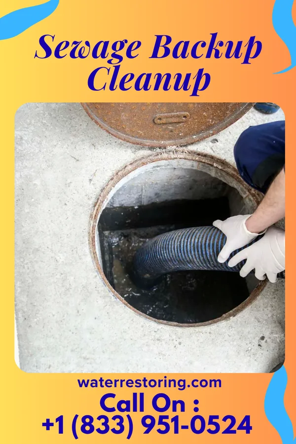 Sewage Backup Cleanup in Chesapeake, VA