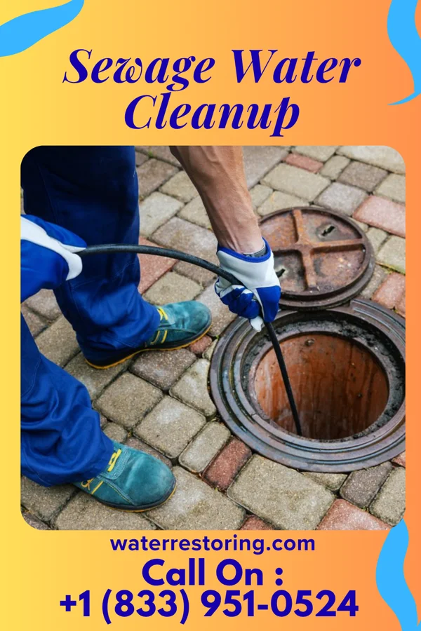 Sewage Water Cleanup in Chesapeake, VA